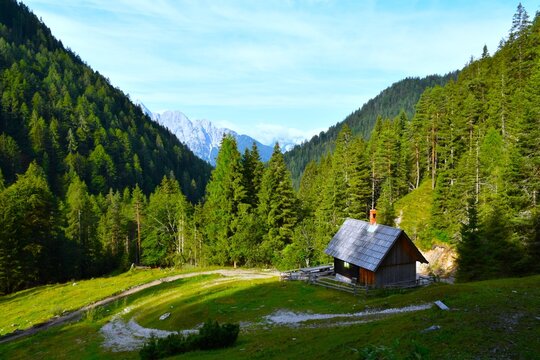 Wooden cottage at meadow in a conifer forest covered valley in Karavanke mountains, Gorenjska, Slovenia