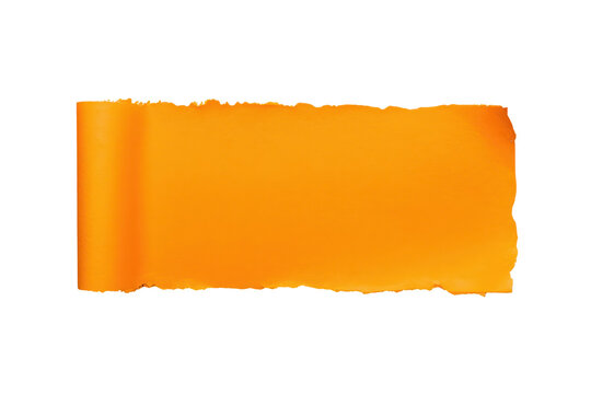Orange ripped paper banner with rolled side