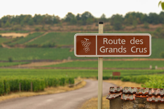 Route des Grands Crus sign beside vineyards in Burgundy, France, marking the celebrated wine route that passes through renowned villages including Puligny-Montrachet.