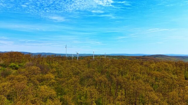 Forest landscape with wind turbines on distant horizon. A dense canopy of trees stretches toward wind power generators standing against a blue sky.