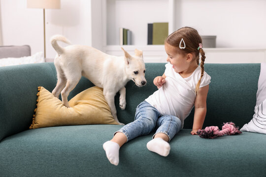 Little girl and puppy playing with toy on sofa at home