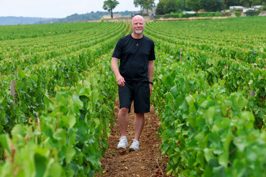 Man walking between vineyard rows in Beaune, Burgundy, France, showcasing the region's renowned wine culture, viticulture, and rural landscapes.