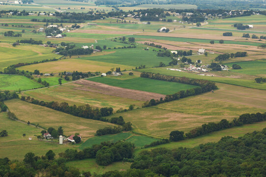 Fields Surrounded by Wind Breaks Into Distance
