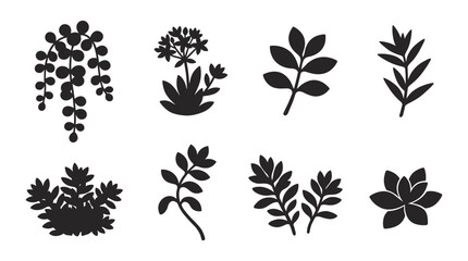 Fototapeta premium Succulent houseplant and herb vector silhouette icons isolated on white background for home garden logo botanical pattern potted flora packaging design