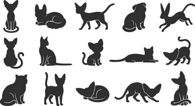 Collection of various black halloween cat poses displayed in a creative and minimalist artistic graphic design style silhouette