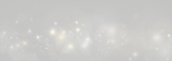 Fototapeta premium Golden glitter particles float against a clean transparent background. Soft sparkles add a magical glow. Perfect for festive compositions, invitations, and elegant effects.