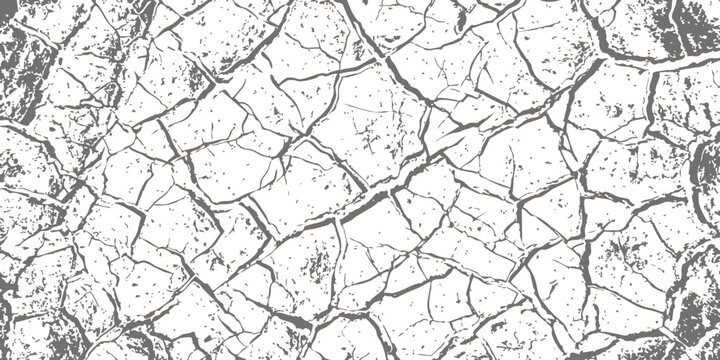 Black and white cracked earth texture with dry mud pattern for abstract background design and surface detail