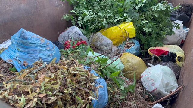 Overflowing cemetery waste container with mixed garbage despite green waste disposal rules in Ventspils, Latvia