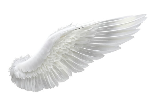 Broad curved white angelic feather wing isolated on transparent background