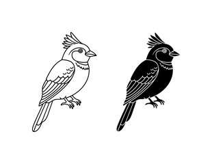 Fototapeta premium Cardinal Bird Vector Icons, Black and White Silhouette, Simple Ornithology Graphics