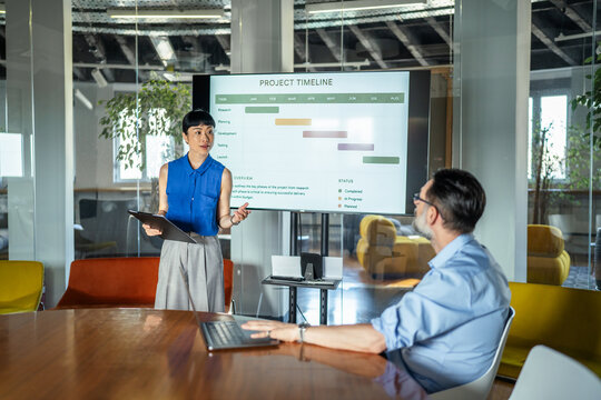 Female professional presenting project timeline in modern office meeting