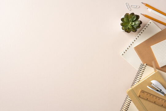 Back to school flat lay with notebook, pencils, succulent and stationery on a pastel desk