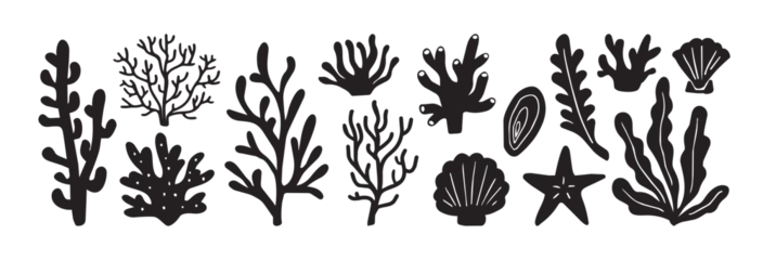 Marine Seaweed, Coral, Seashell and Starfish Silhouette Vector Set. Hand Drawn Ocean Botanical Clipart Collection. Nature Sea black illustrations idolated on white background, graphic elements. © tabitazn