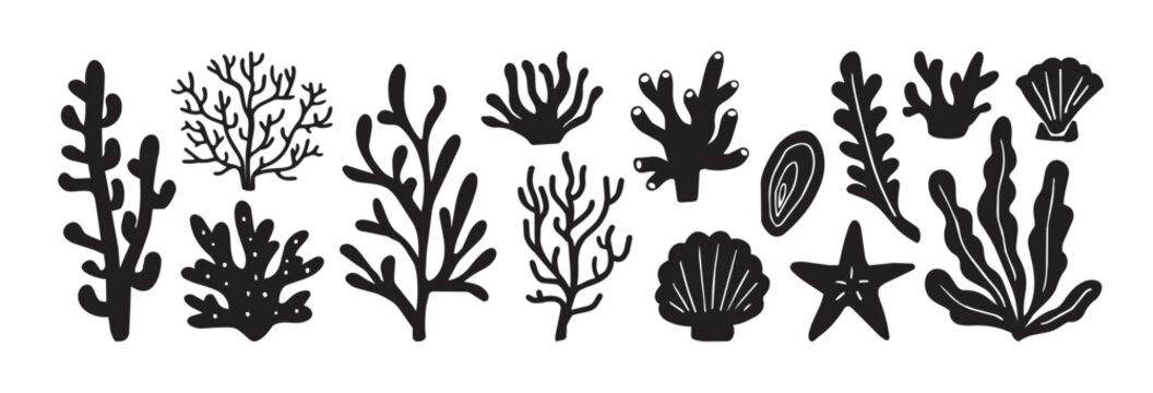 Marine Seaweed, Coral, Seashell and Starfish Silhouette Vector Set. Hand Drawn Ocean Botanical Clipart Collection. Nature Sea black illustrations idolated on white background, graphic elements.
