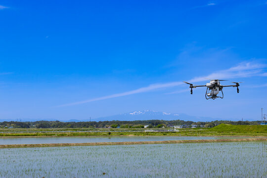 ドローンによる水田への除草剤散布と残雪の栗駒山