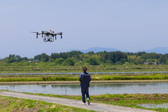 ドローンによる水田への除草剤散布作業とドローンオペレーター