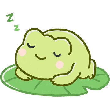 Cute Sleeping Frog Illustration