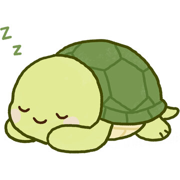 Hand Drawn Sleeping Turtle Illustration
