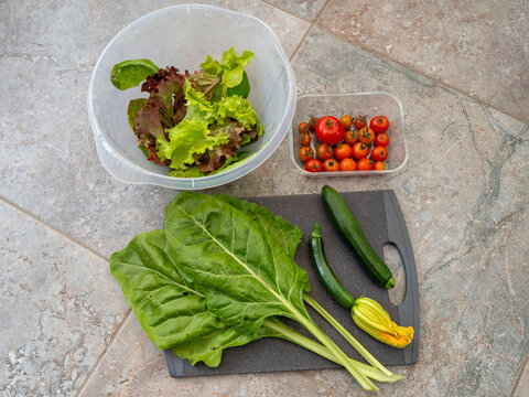 Salad and vegetable produce from the garden