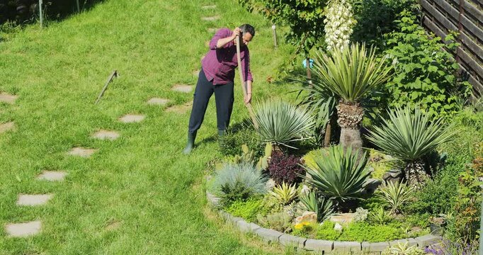 Gardener working in a Mediterranean garden with Yuccas and cactuses