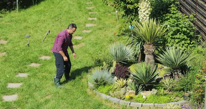 Gardener landscaping a Mediterranean style arrangement with Yuccas and cactuses