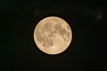 Vollmond am Nachthimmel, aufgenommen am 29. Juli 2026. Der Julivollmond wird traditionell als 'Buck Moon' bezeichnet. Oberflächenstrukturen wie Krater und Mare sind deutlich erkennbar. © Ardan Fuessmann