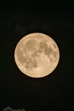 Vollmond am Nachthimmel, aufgenommen am 29. Juli 2026. Der Julivollmond wird traditionell als 'Buck Moon' bezeichnet. Oberfl&auml;chenstrukturen wie Krater und Mare sind deutlich erkennbar.