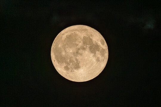 Vollmond am Nachthimmel, aufgenommen am 29. Juli 2026. Der Julivollmond wird traditionell als 'Buck Moon' bezeichnet. Oberfl&auml;chenstrukturen wie Krater und Mare sind deutlich erkennbar.