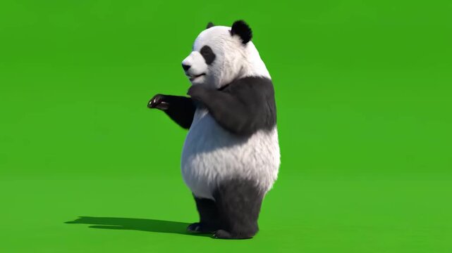 Playful 3D Panda Character Waving on Green Screen Background, ideal for video editing and compositing.