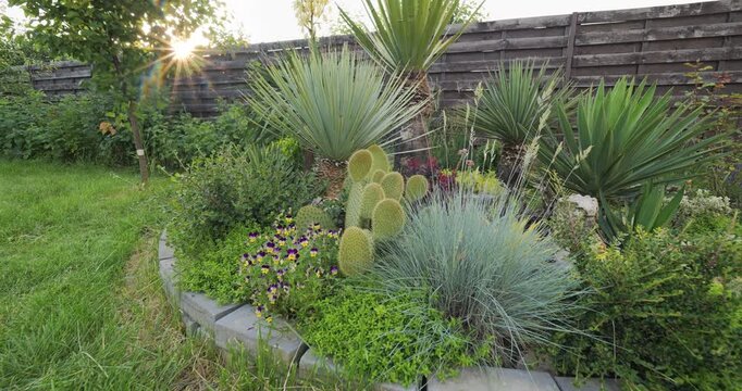 Sunset starburst behind Mediterranean garden