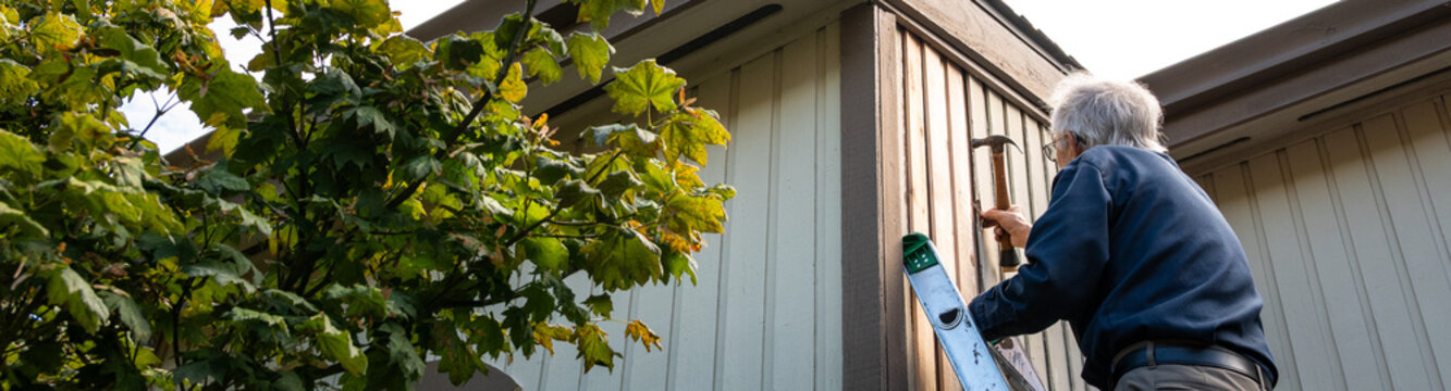 Elderly on an extension ladder using a hammer to nail in new wood siding boards, homeowner maintenance and upkeep, making outdoor repairs on house
