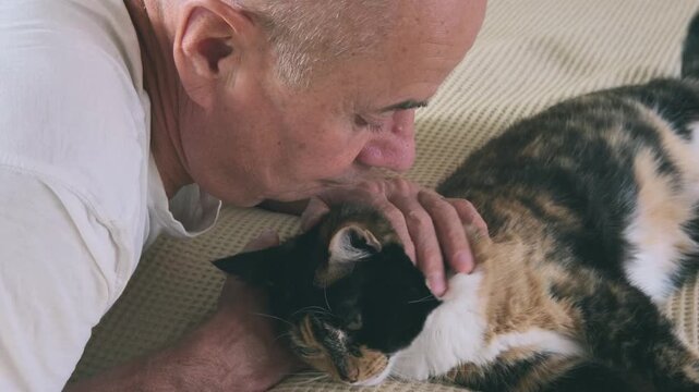 elderly man gently strokes beloved fluffy three-colored domestic cat, loving senior gently pets, enjoying warmth and comfort loyal companion in golden years, deep bond between humans and pets