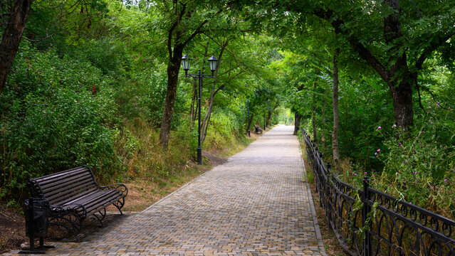 Empty paved walkway in a lush green public park. Wooden bench and vintage street lamps along a pedestrian path surrounded by trees. Summer outdoor landscape