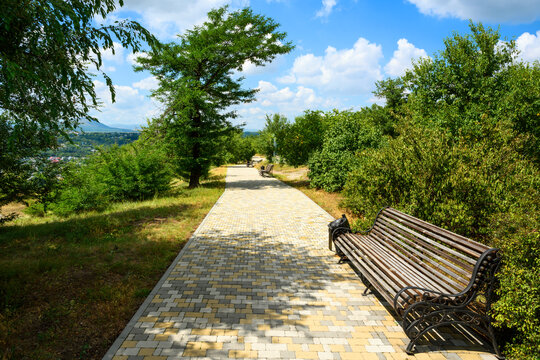 Empty paved path with a wooden bench in a green public park. Scenic summer landscape with trees and a distant town view under a blue cloudy sky