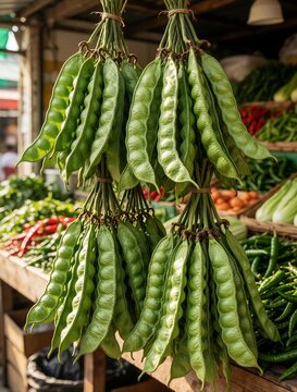 Fresh green petai beans hang in bundles at local Asian market. Raw tropical stink beans pods displayed at street food bazaar. Traditional vegetable ingredient for exotic culinary cooking in grocery