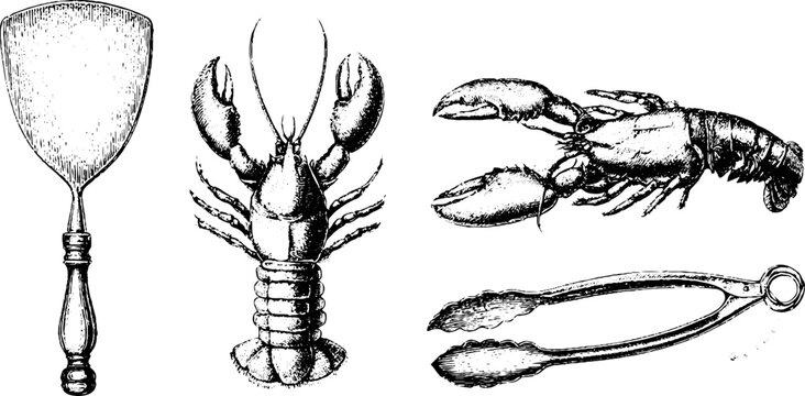 Hand drawn vintage seafood and serving utensil engraving set with lobster, crab, pasta server and tongs for menu and packaging design background