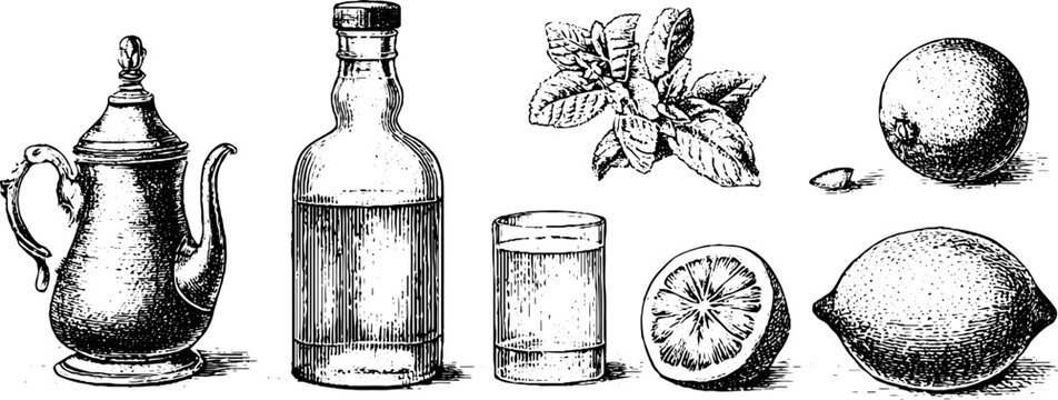 Vintage grog and rum illustration set with citrus fruits, jug and cup for cocktail recipe background and historic label design