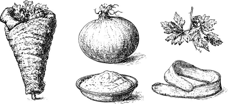 Hand drawn vertical gyro meat cone with onion parsley tzatziki bowl and pita slices in vintage engraving style for recipe background