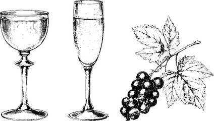 Obraz premium Vintage hand-drawn set of kir royale champagne glass with cassis blackcurrant and liqueur bottle illustrations for label menu background and packaging design