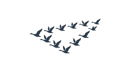 Birds flying in V formation silhouette graphic. © My
