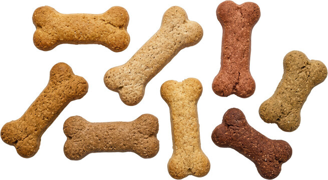 Assortment of bone shaped dog biscuits in various textures and shades of brown arranged artfully on a white surface dog treats pet food canine snacks baked goods pet care