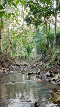 Day to night timelapse of a flowing jungle river transitioning from afternoon dusk to dark night