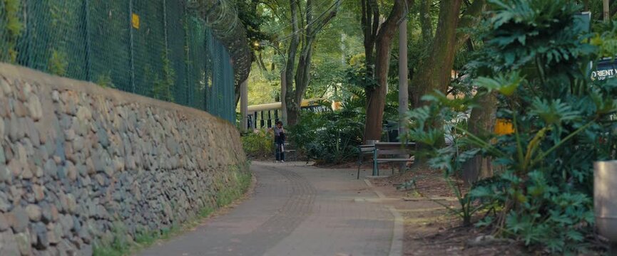 Green Urban Park Path with a Stone Wall in the City