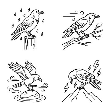 Set of four crow illustrations depicting various weather conditions