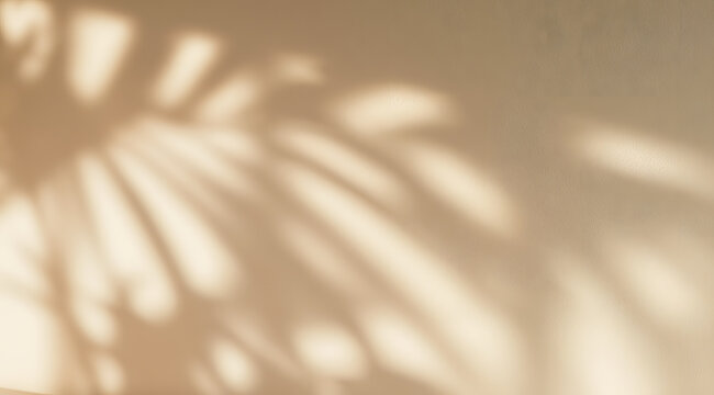 Sunlit scene with an abstract background, a warm beige wall adorned with soft leaf shadows, and a backdrop with minimal natural light texture