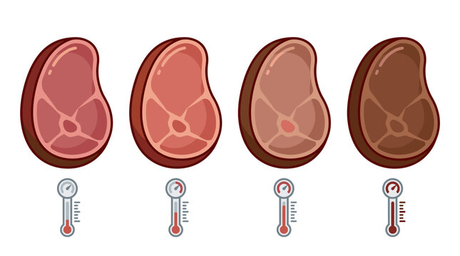 isolated raw to cooked steak progression with meat thermometer showing temperature levels, culinary doneness guide for beef preparation
