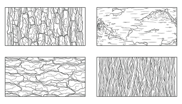Set of organic tree bark textures with different wooden patterns in flat line style vector design.