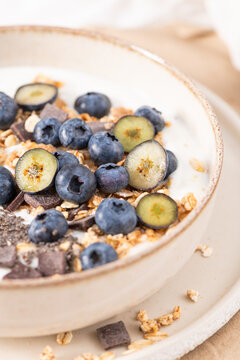 Healthy yogurt bowl with fresh blueberries granola and chia seeds in a rustic ceramic dish for a nutritious and delicious morning meal
