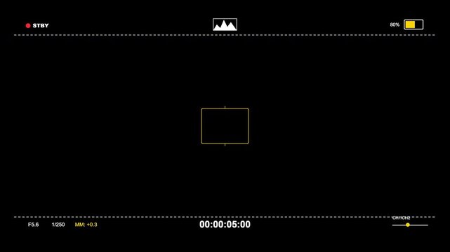 Dslr camera frame viewfinder Cinematic Grid Lines Histogram Overlay 4K