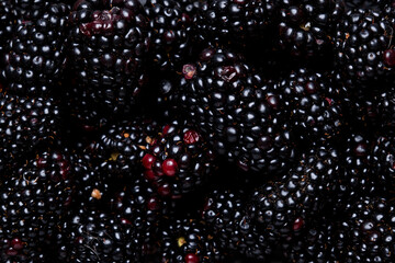 Fresh dark blackberries in full frame background. Organic raw summer berry harvest concept. © 5ph